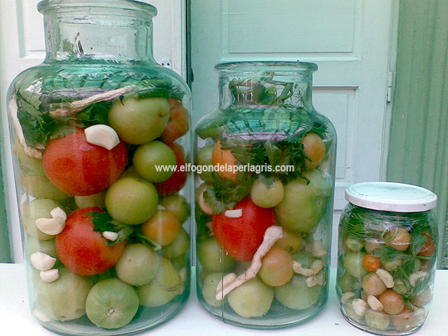 Tomates en conserva Tomates en conserva