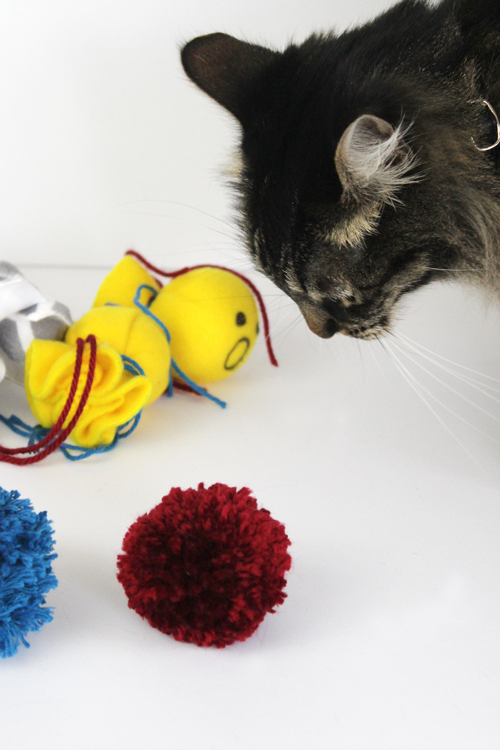 11+ Purrfect DIY Cat Toys (Fun and Budget-Friendly Ideas) - PetHelpful