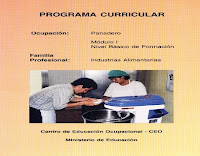 CAPLAB - Programa curricular panadero - Módulo 1 programa curricular panadero-módulo 1