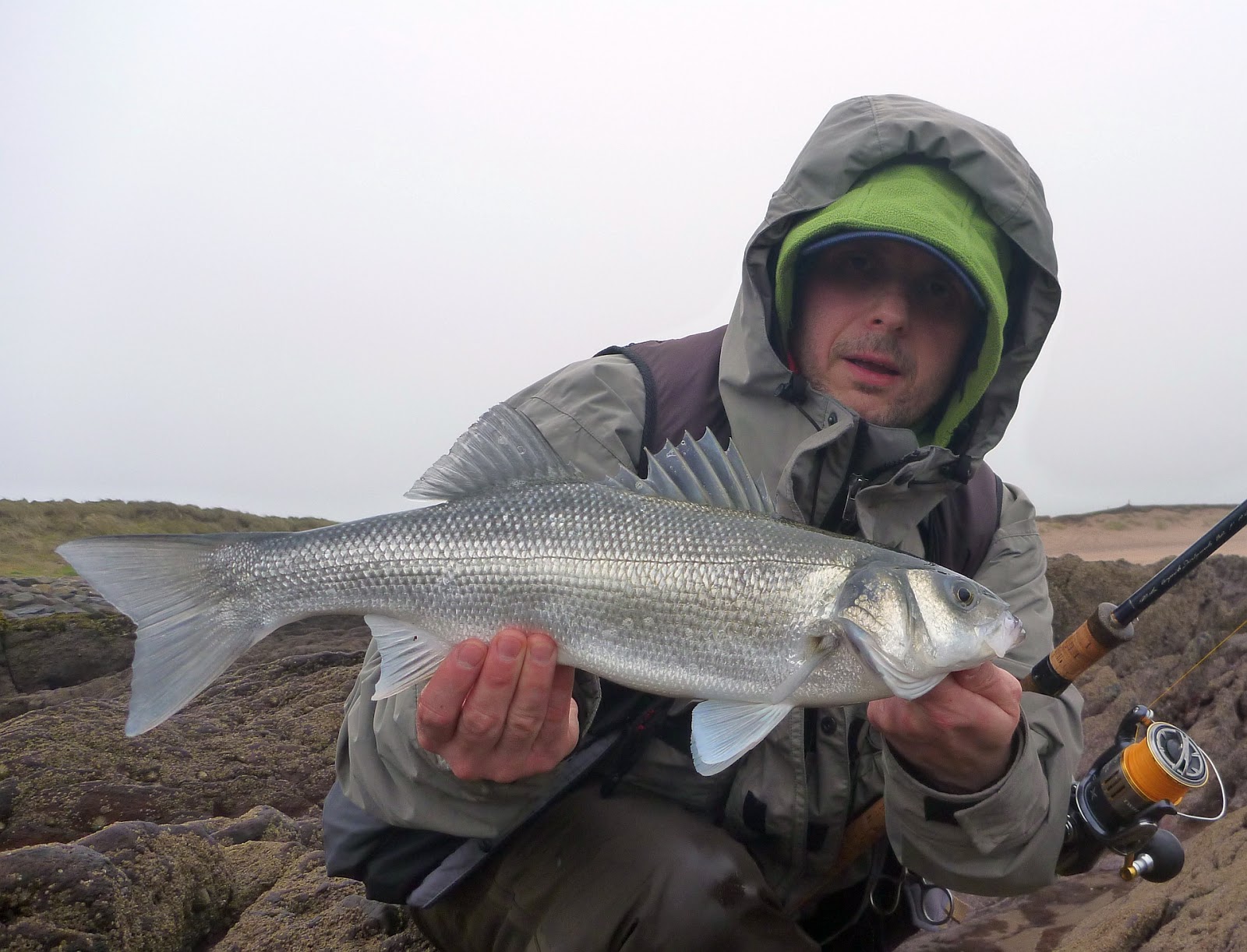 Sea Bass Hunting Sea Bass season 2017 open !!! 20.02.2017