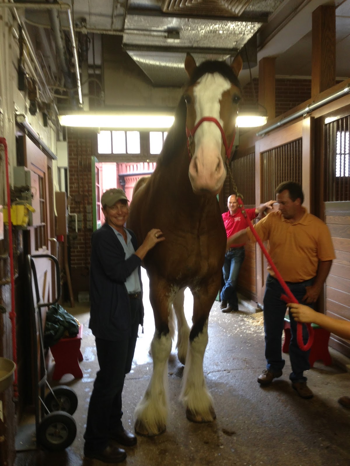 Purina Equine Research Blog From our farm to yours. Feed Fit for a
