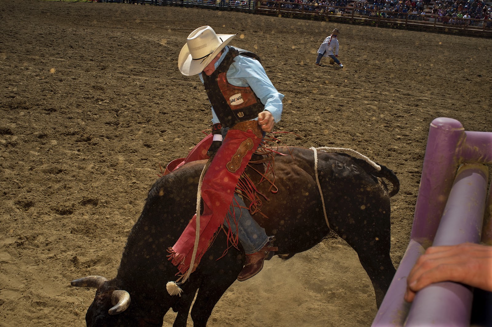Picture Window photo blog Sand, sun, horses and Finns, Long Beach