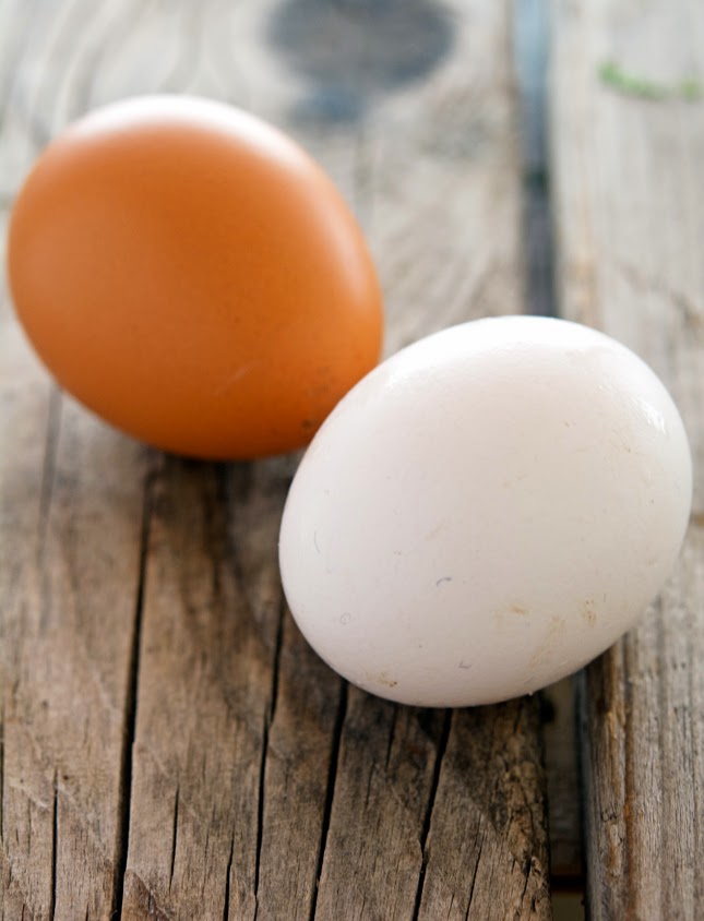 White and Brown Eggs
