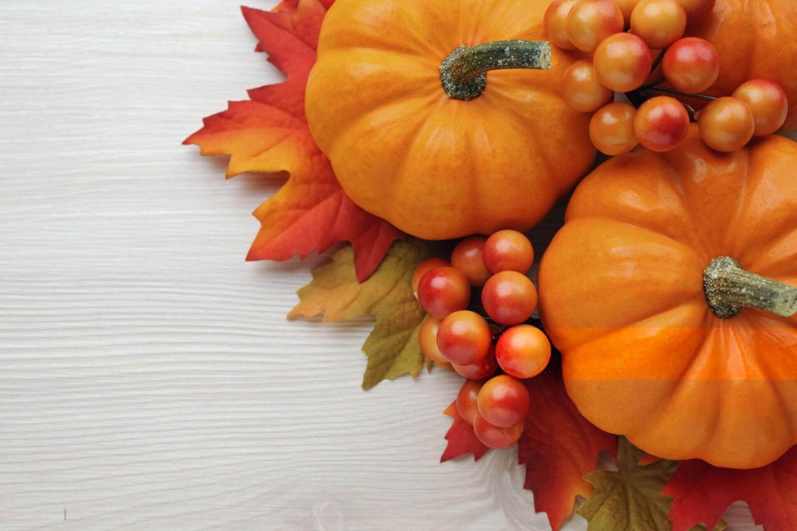 Thanksgiving Wallpapers HD Free Download