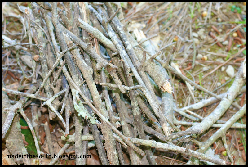 Made In The South Mini Pot Jambalaya 101