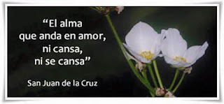Imagenes con Frases de Amor, Fotos de Amor con Frases, Frases para el Alma Imagenes con Frases de Amor