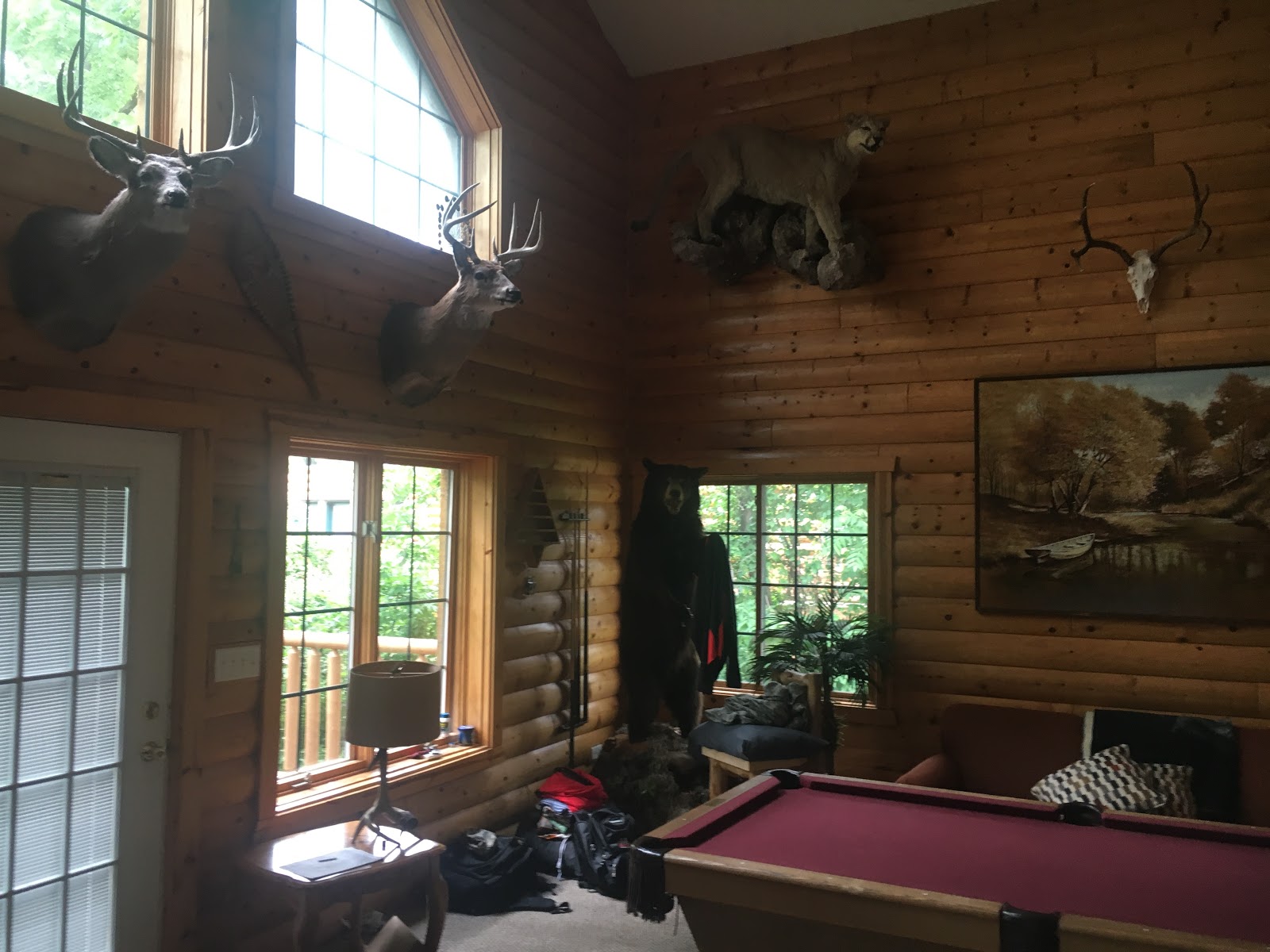 John Milito S Amazing Adventures Justin S Bachelor Party