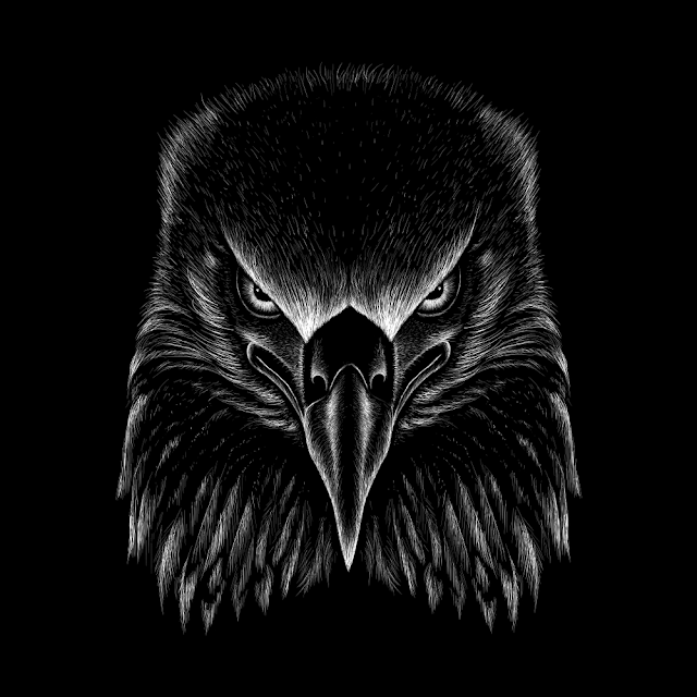 Eagle Wallpapers, Eagle Pictures, Eagle Logos ||Free Download Eagle HD