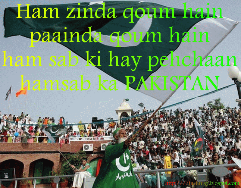 TASHNIGI Pakistan Independent Day GIF