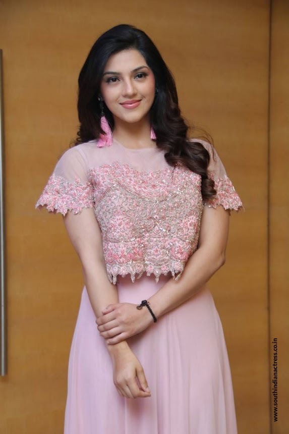 Mehreen Pirzada at Nota Movie Press Meet Stills