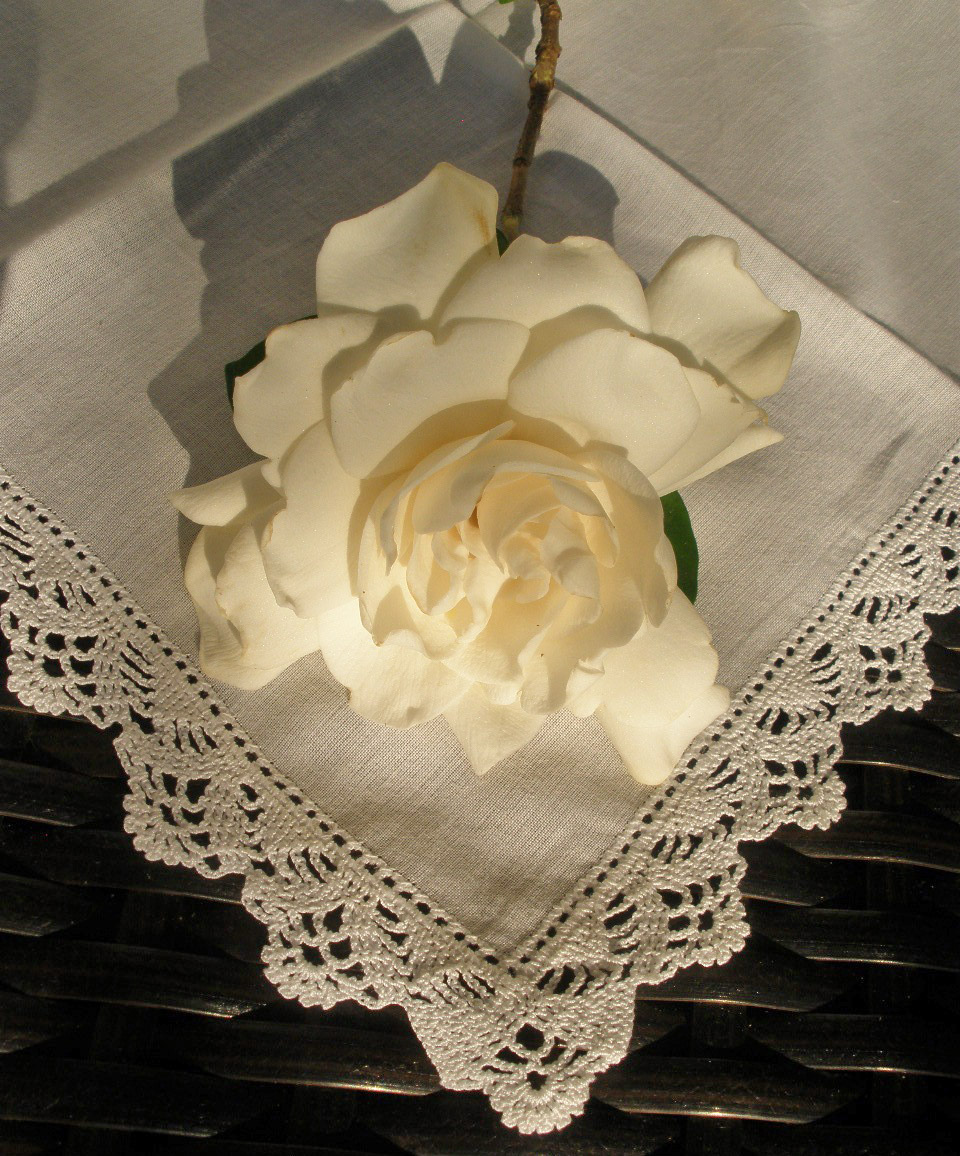 MARIETTE'S BACK TO BASICS {My Lace Crocheted Handkerchief 3}