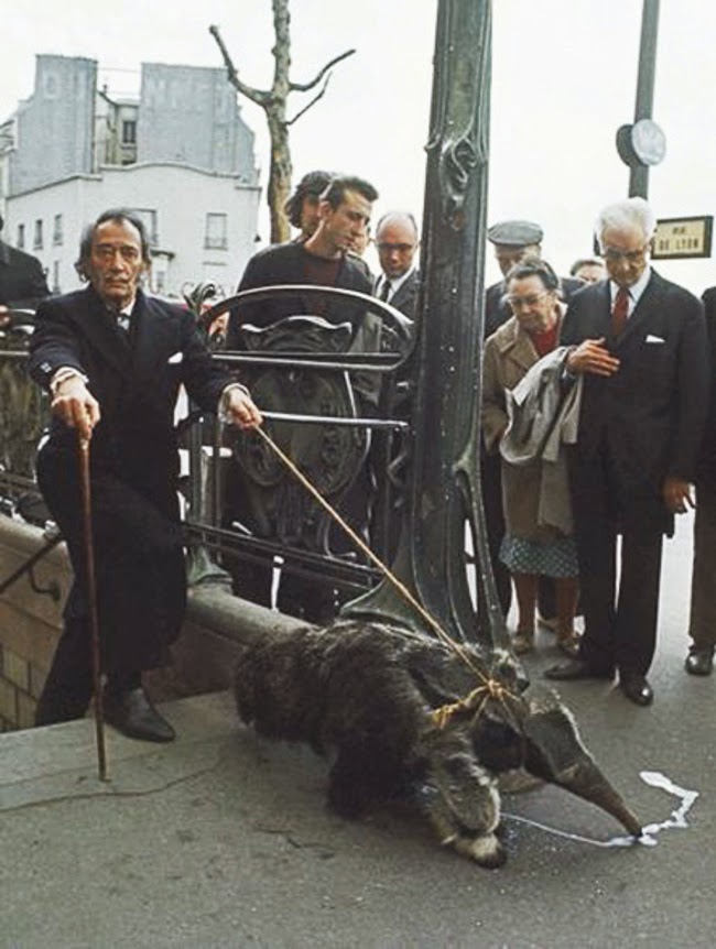 24 Rare Historical Photos That Will Leave You Speechless - Salvador Dali walking his pet anteater in 1969.