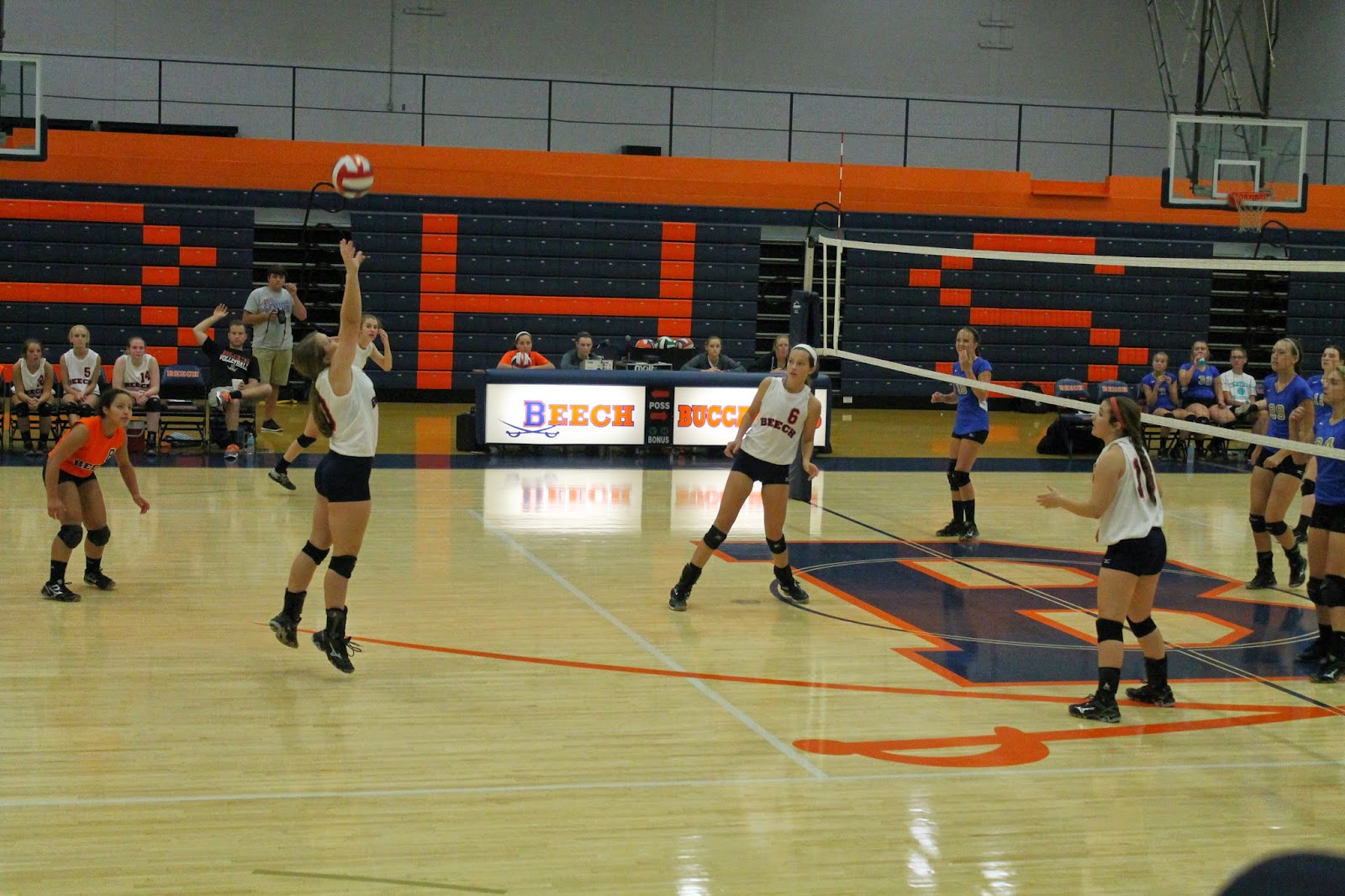 Apedaile 6 Volleyball Life