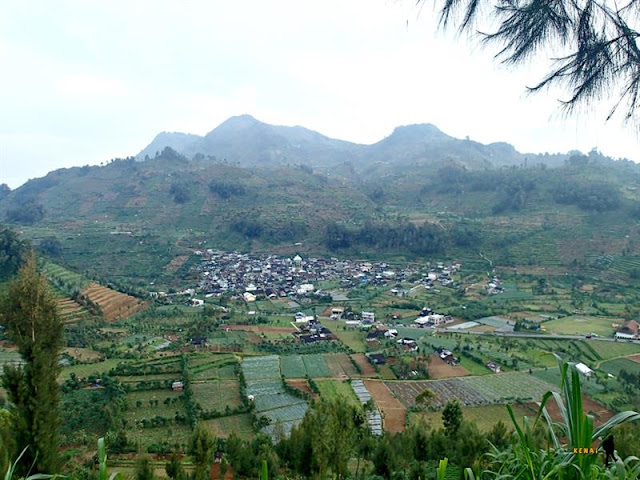 Pos 1 Gunung Prau via Patak Banteng