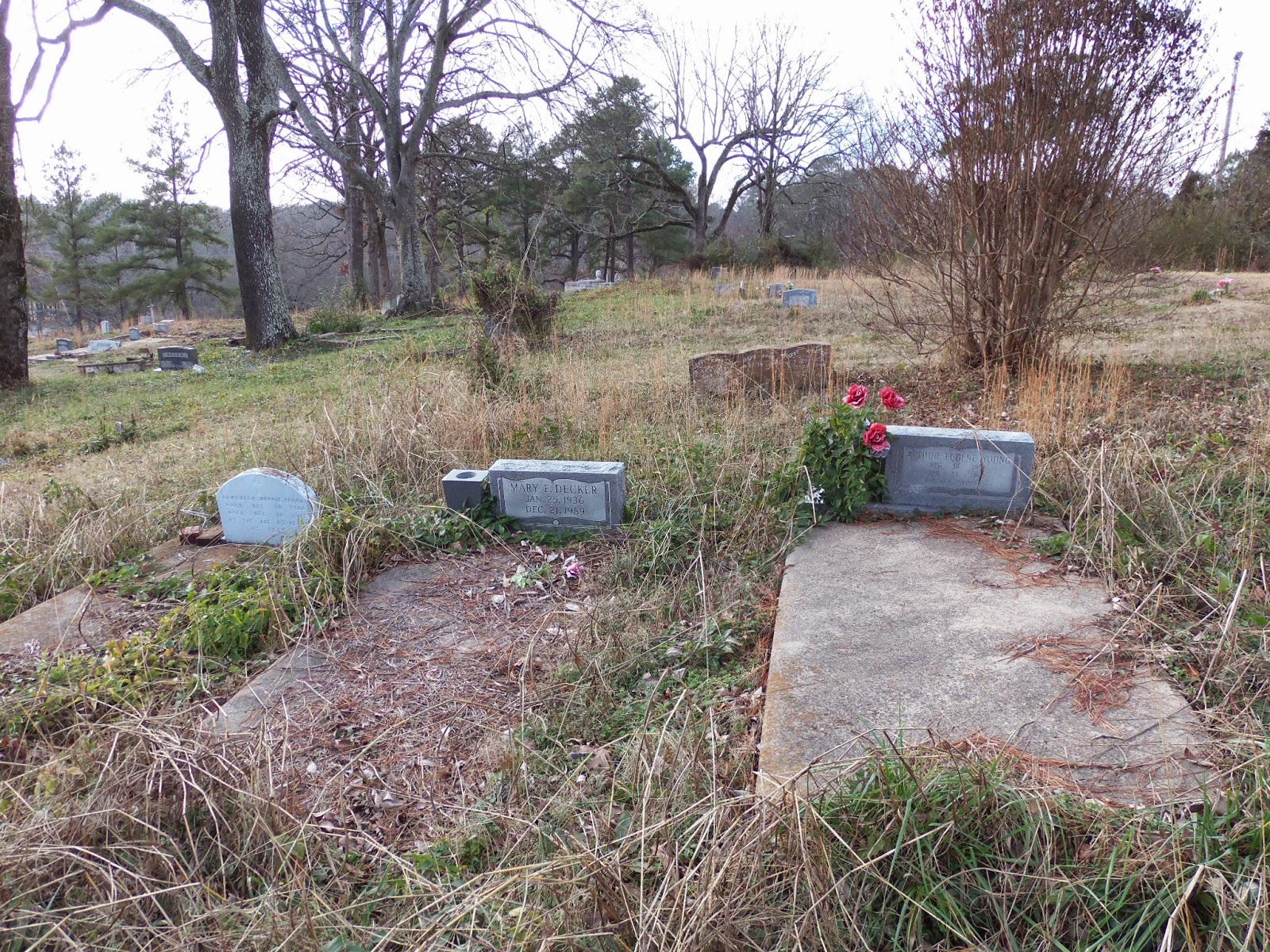 Maple Grove Cemetery Friendship Cemetery, Hot Springs AR