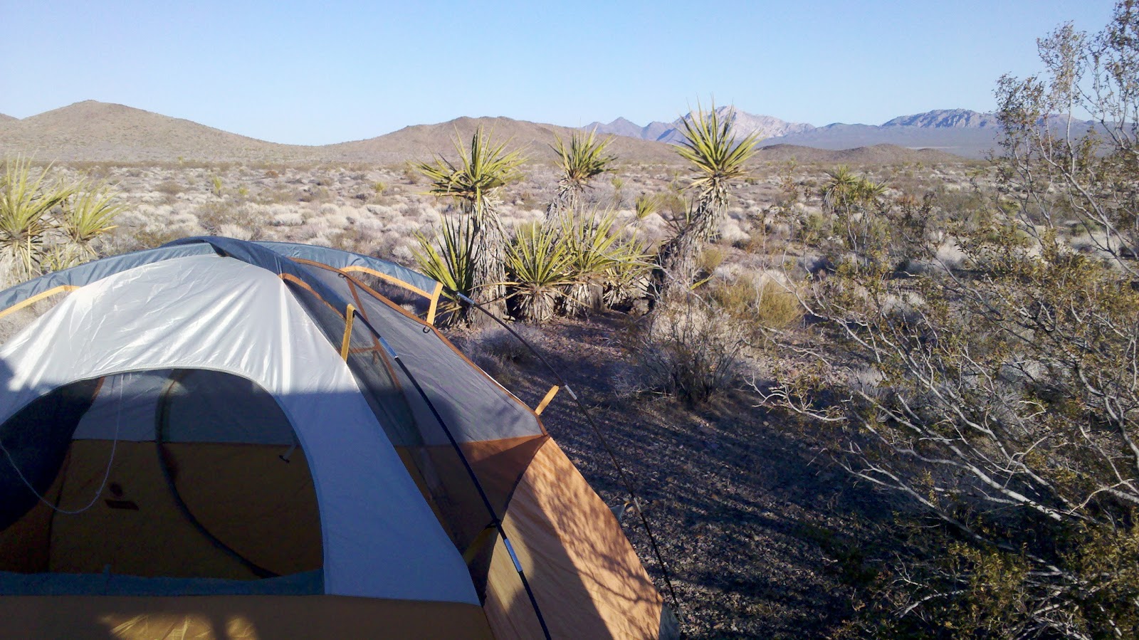 BLM Signals Approval for Searchlight Wind Project Despite Objections