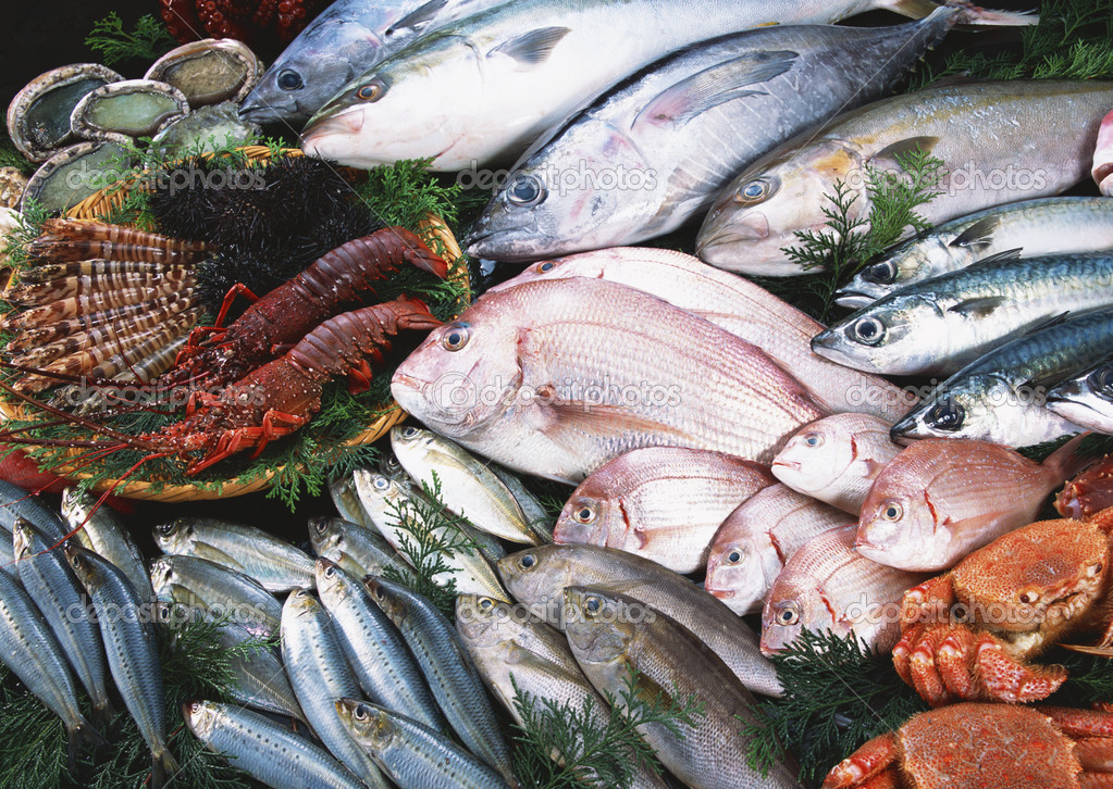 Online Fish Delivery