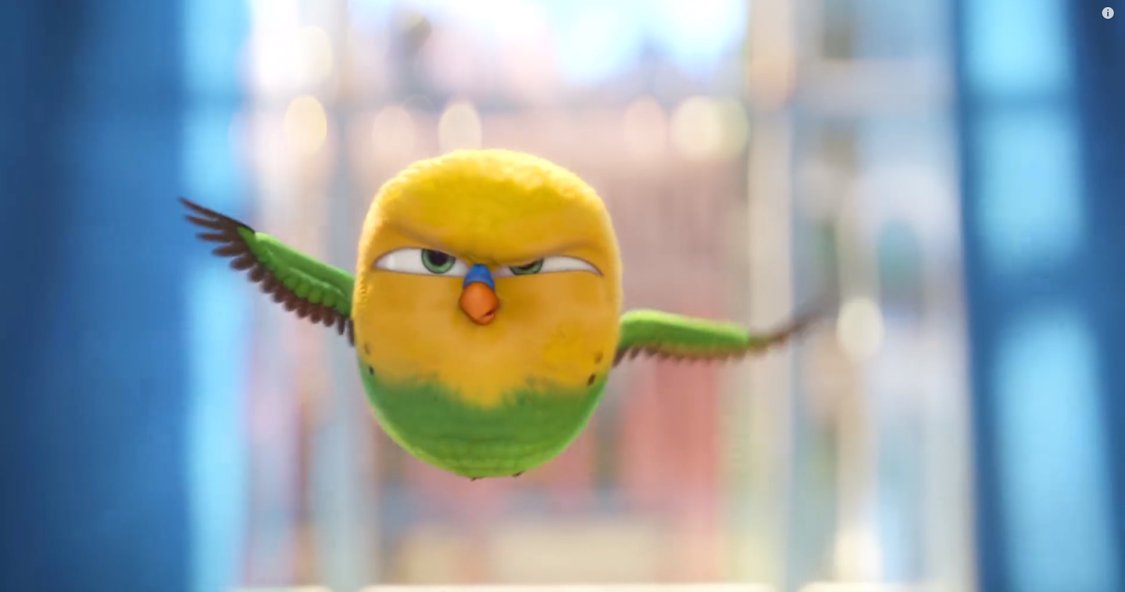 Тайная жизнь домашних животных горошек. The secret life of birds. Тайная жизнь домашних животных тиберий. Тайная жизнь домашних животных 2 попугай. Ястреб тиберий.