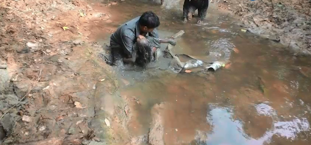Miris!! Bocah 4 Tahun Diperkosa Lalu Dikubur Hidup-hidup di Sungai Berlumpur Papua