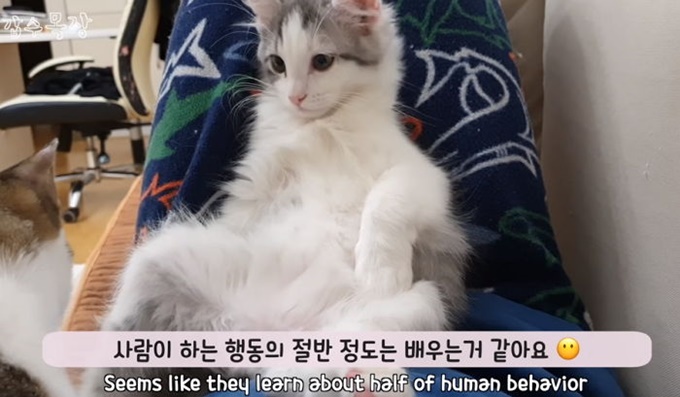 이미지에 대체텍스트 속성이 없습니다; 파일명은 5g8910qop66s24i0x0rt.jpg 입니다.
