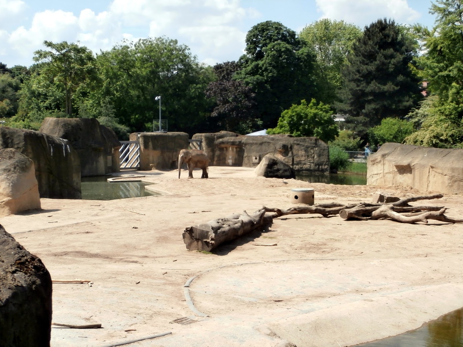 Wombat &amp; Co Zoologischer Garten Köln, Keulen