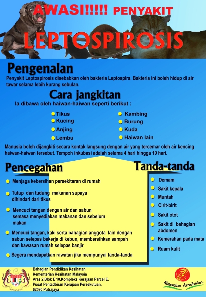 Info Kesihatan Leptospirosis