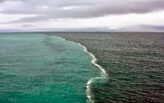 Fenomena Laut Paling Mencengangkan - Velasco Indonesia