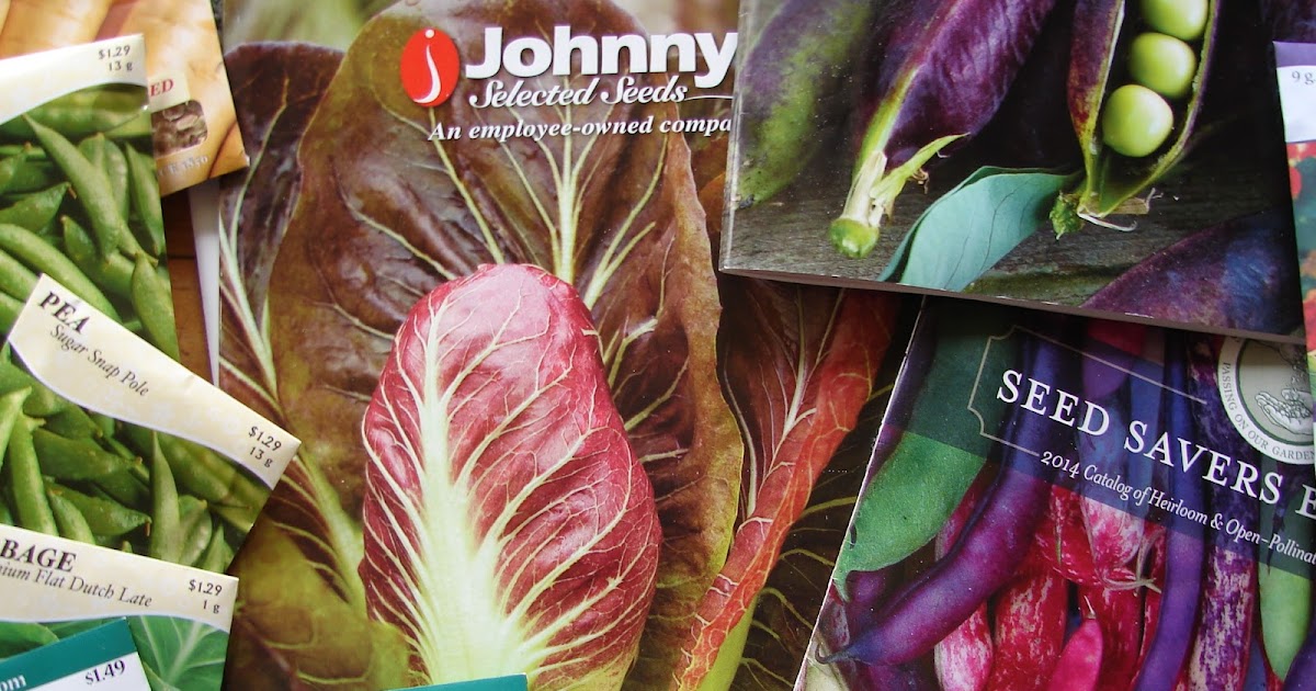 New Utah Gardener Which Vegetable Seeds Should I Plant In The Ground