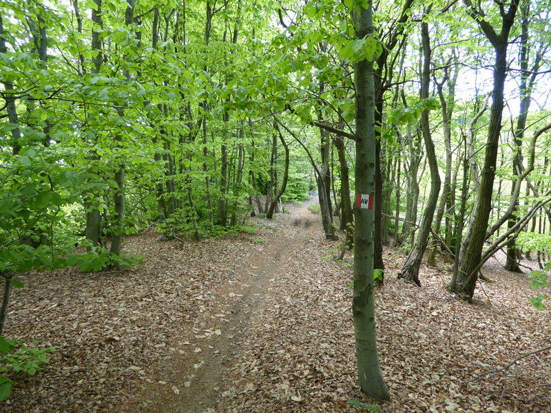 MUNTAeCHINNA TREKKING Anello breve di Pian dei Corsi