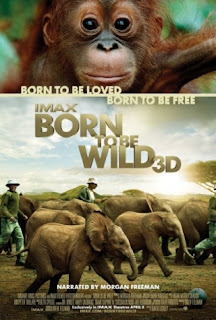 Sinh Ra Trong Hoang Dã - Born To Be Wild Sinh Ra Trong Hoang Dã