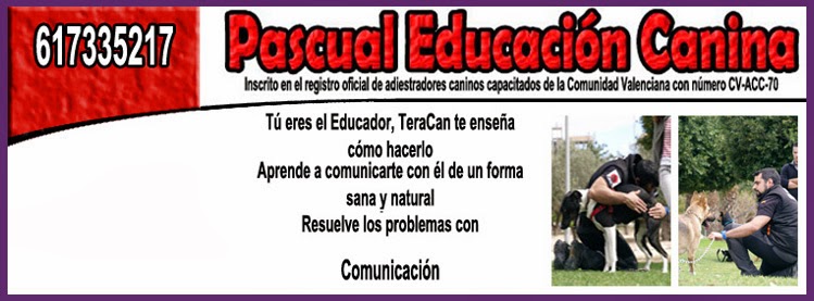 Tera-Can (Pascual Educación Canina en Alicante)