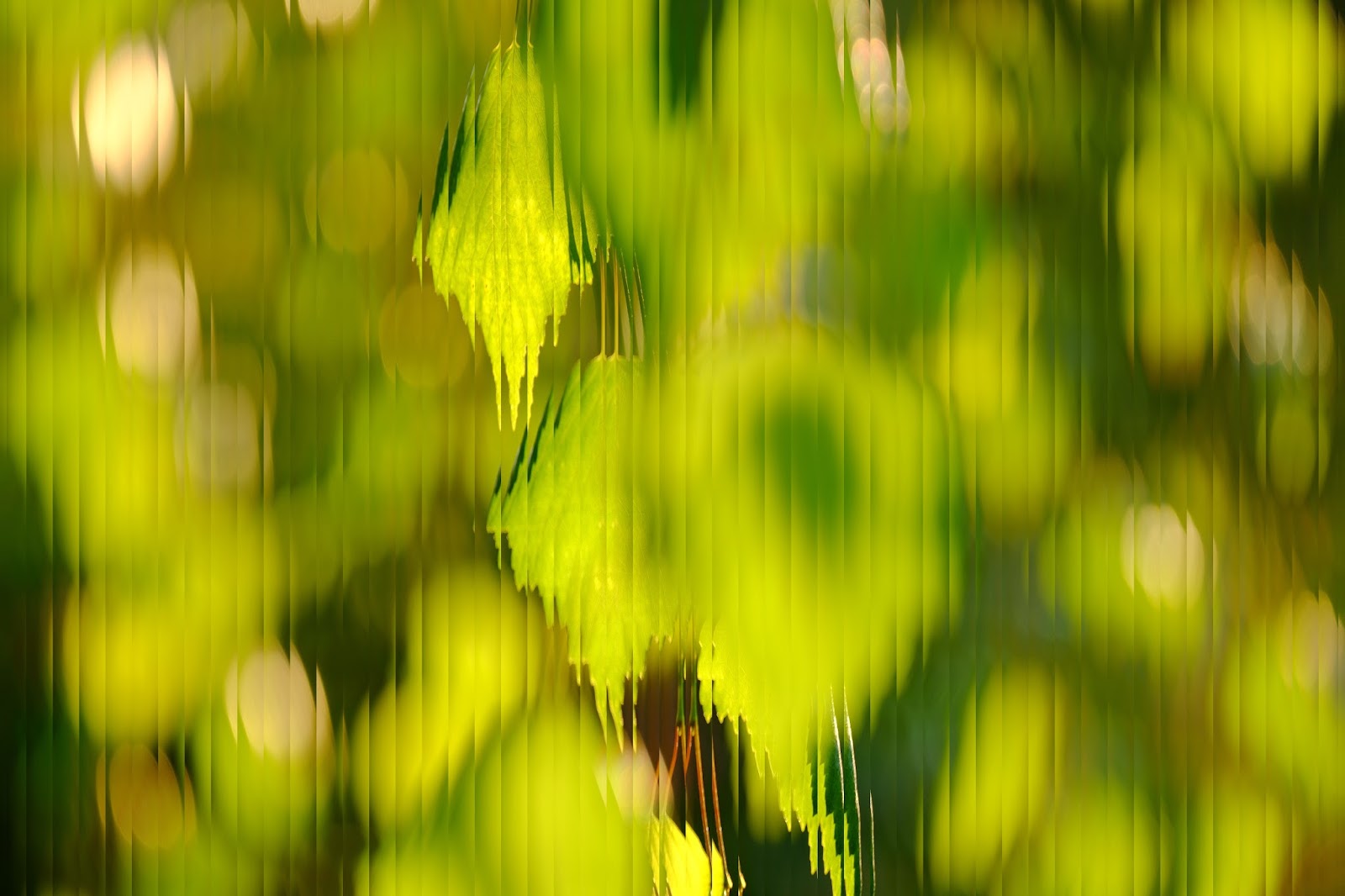 it doesnt matter reflection Why doesn't the sun reflect off earth's oceans from space like a billiard ball why then isn't the reflection of the sun seen from space the fact that the ocean is proportionally smooth doesn't matter. it doesnt matter reflection Why doesn't the sun reflect off earth's oceans from space like a billiard ball why then isn't the reflection of the sun seen from space the fact that the ocean is proportionally smooth doesn't matter.