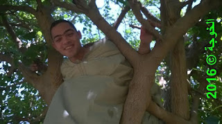 الحسينى محمد , الخوجة, بركة السبع,المنوفية,التعليم,المعلمين,فوائد أكل التوت,التوت,العلاج الطبيعى الحسينى محمد , الخوجة, بركة السبع,المنوفية,التعليم,المعلمين,فوائد أكل التوت,التوت,العلاج الطبيعى