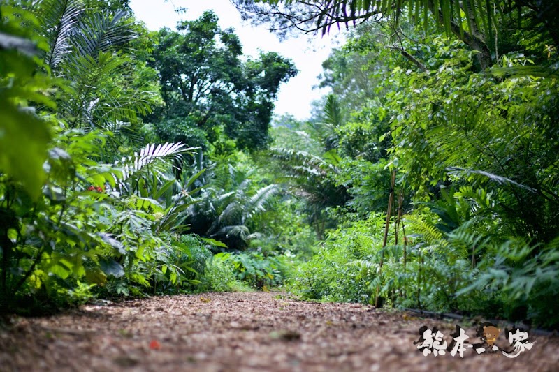 偶像劇「薰衣草」場景|花坊、蝴蝶生態區步道|飛牛牧場~唯美自然系IG景點