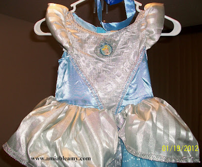 Amiable Amy: Cinderella Costume for Her Birthday