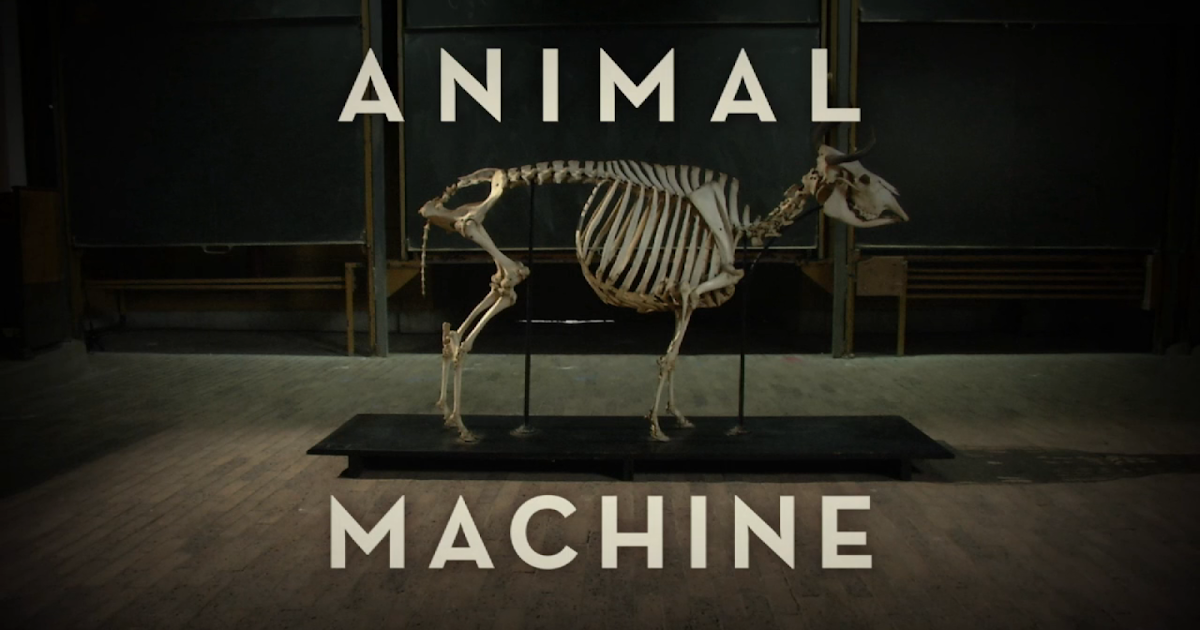 Artpla33 ANIMAL MACHINE RÉFÉRENCES