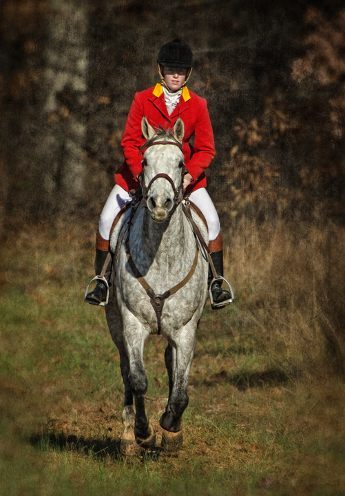 Dan Routh Photography Fox Hunting Photography