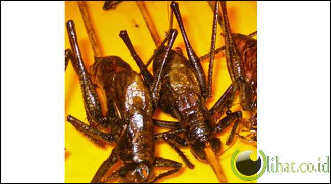 Sate belalang di Donghuamen Night Market