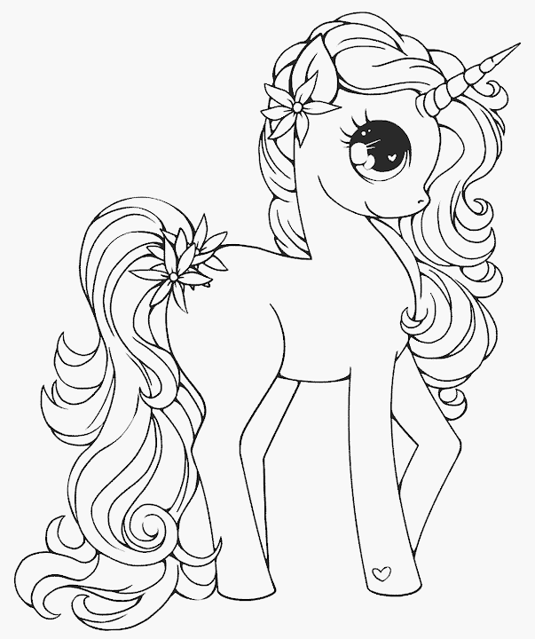 kuda pony