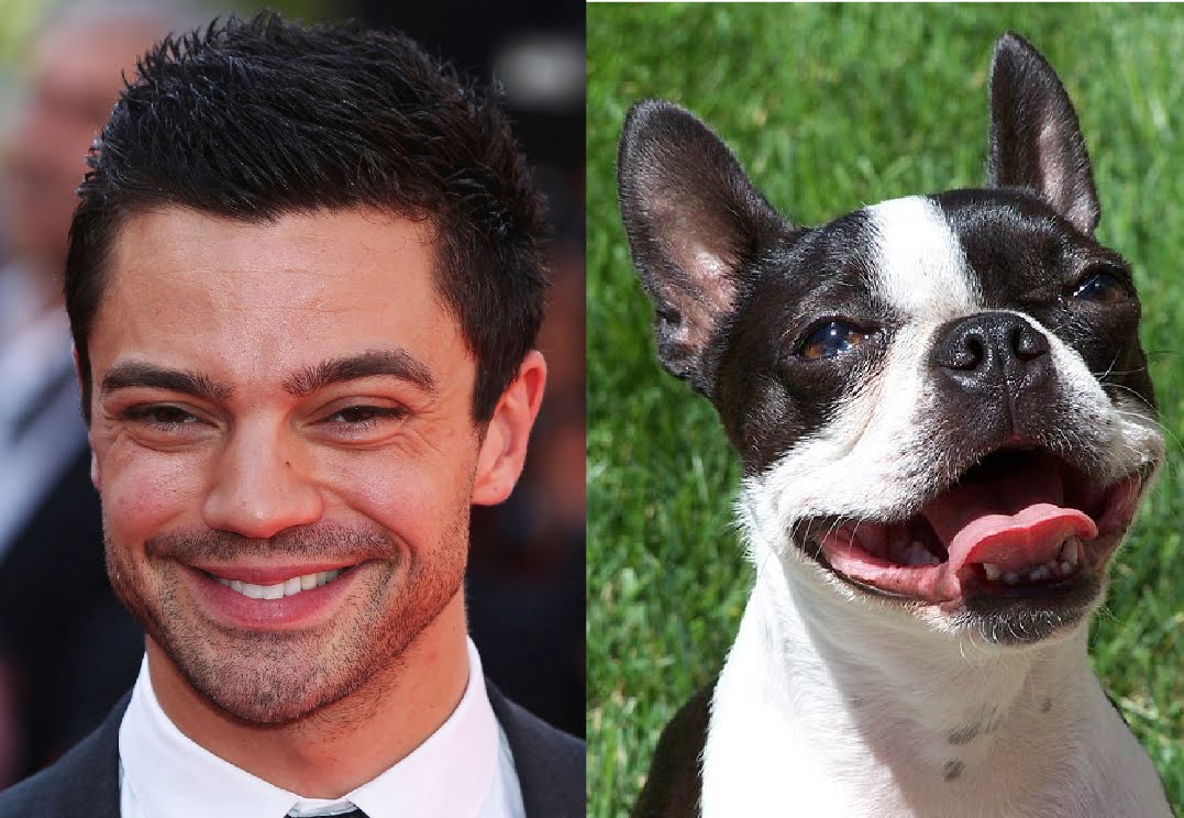 Dom daddies breed cooper