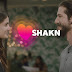 Busca pareja. Gente real y respetuosa - SHAKN - descarga gratis