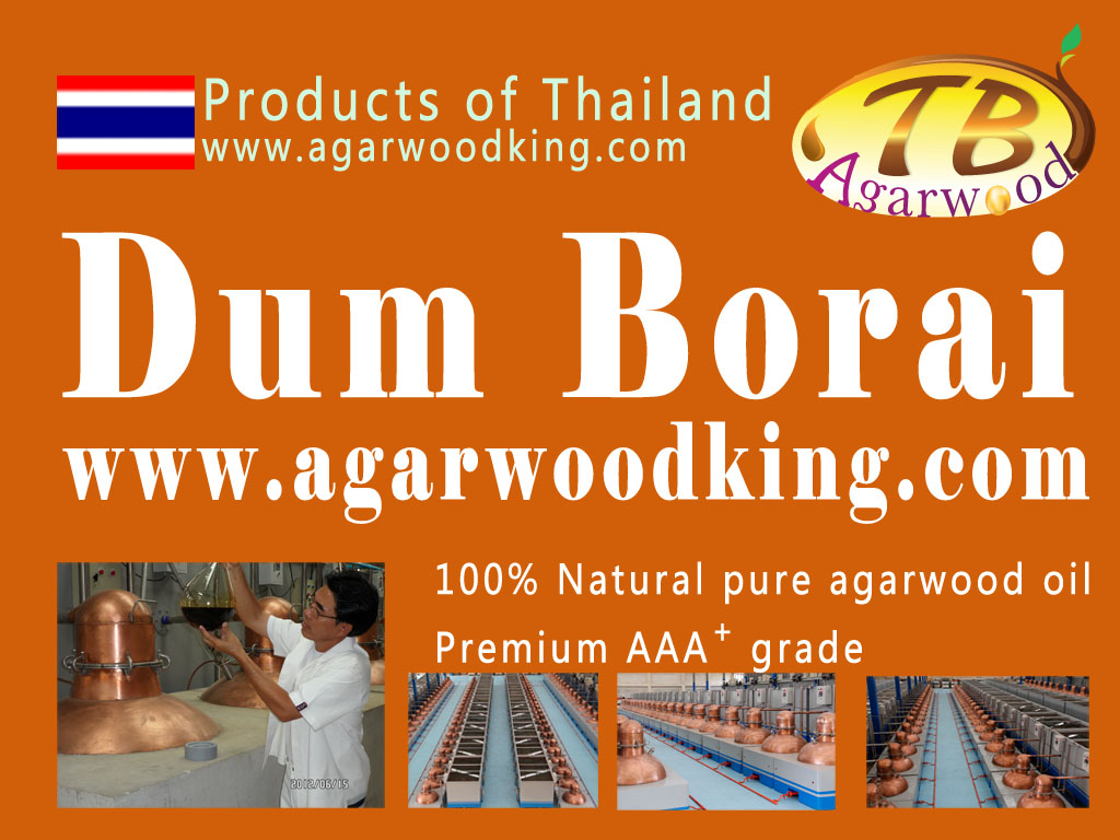 Thailand Agarwood Thailand Agarwood