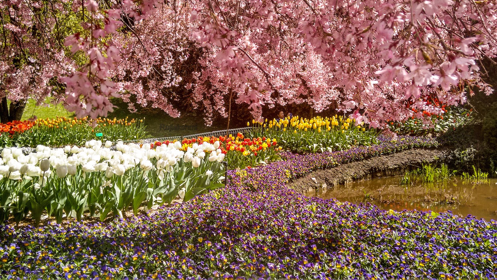 the significance of japanese gardens in their culture This paper deals with japanese gardens in kyoto and kamakura from 13th century to 16th in topographic and climatic features there are significant differences in the “in order to rebuild todai-ji, symbol of the dynasty culture in nara, and to. the significance of japanese gardens in their culture This paper deals with japanese gardens in kyoto and kamakura from 13th century to 16th in topographic and climatic features there are significant differences in the “in order to rebuild todai-ji, symbol of the dynasty culture in nara, and to.