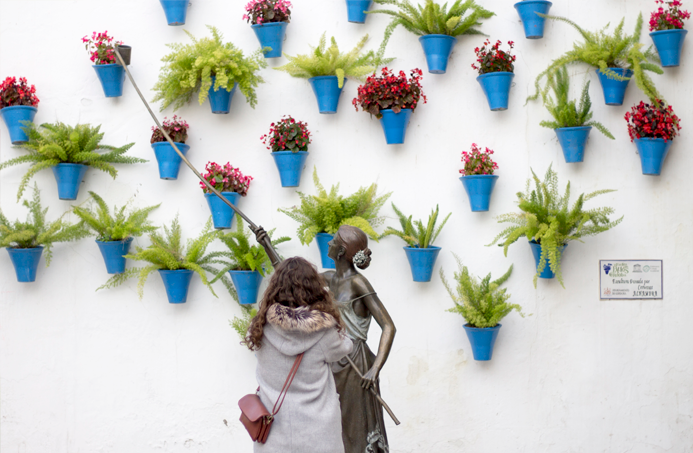 córdoba fotografía spain homenaje patios