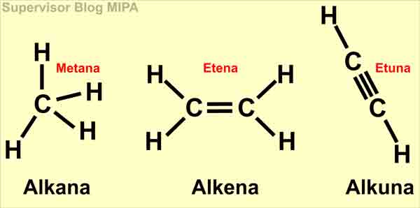 Tata Nama Senyawa Organik Alkana Alkena Alkuna Sederhana