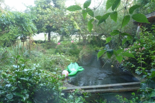 Blog Page 188 Pirckheimer Gesellschaft