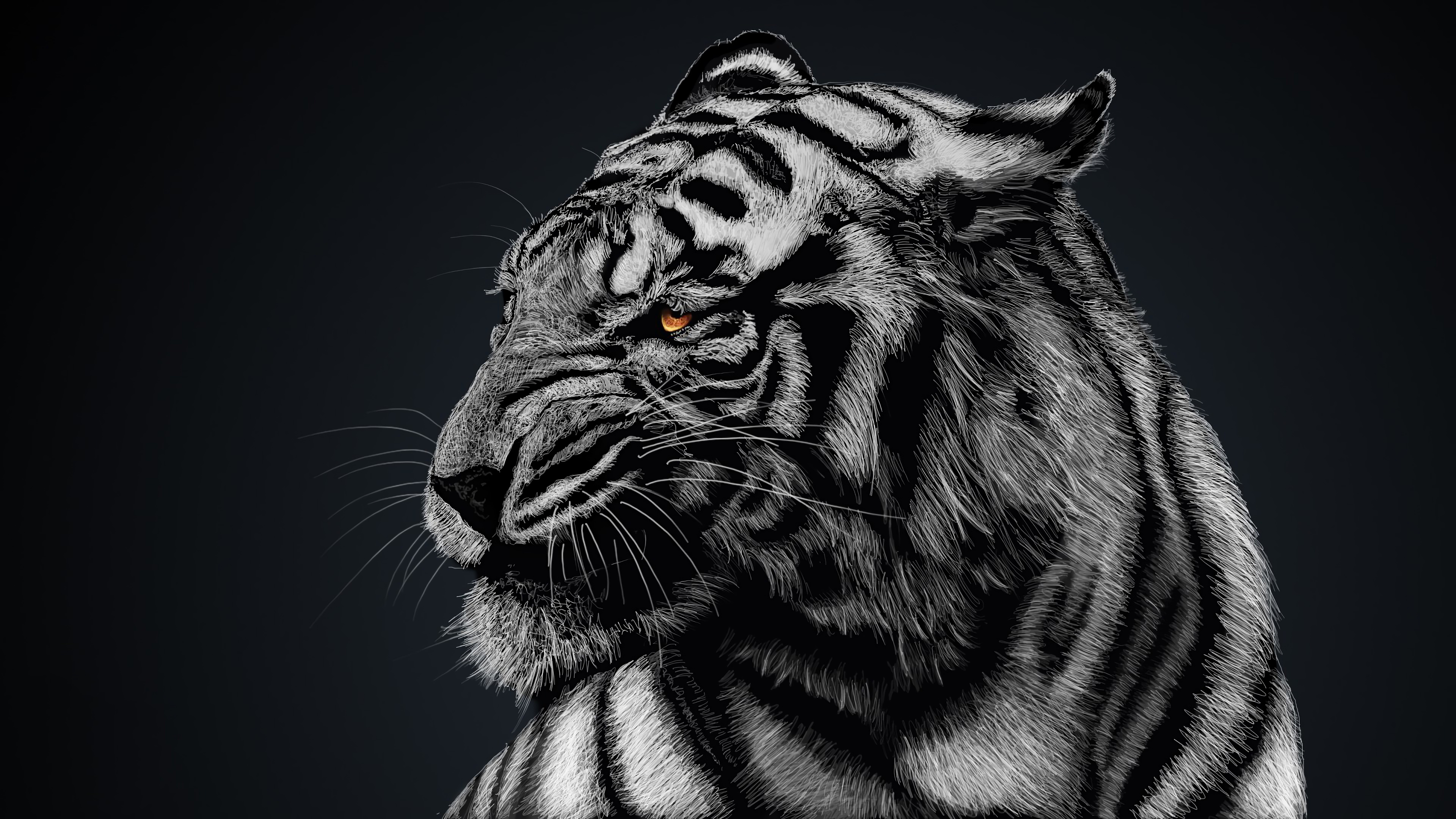 White Tiger, 4K, 3840x2160, 10 Wallpaper PC Desktop