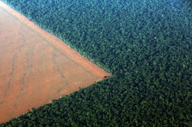 13 Shocking Pictures Prove That Nature Is Sending Out An SOS