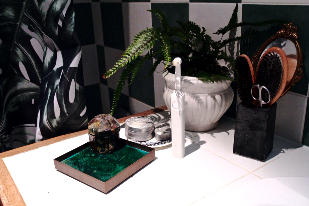 Oxygéner et décorer sa maison ou son appartement c'est possible en un seul coup grâce aux plantes purifiantes !