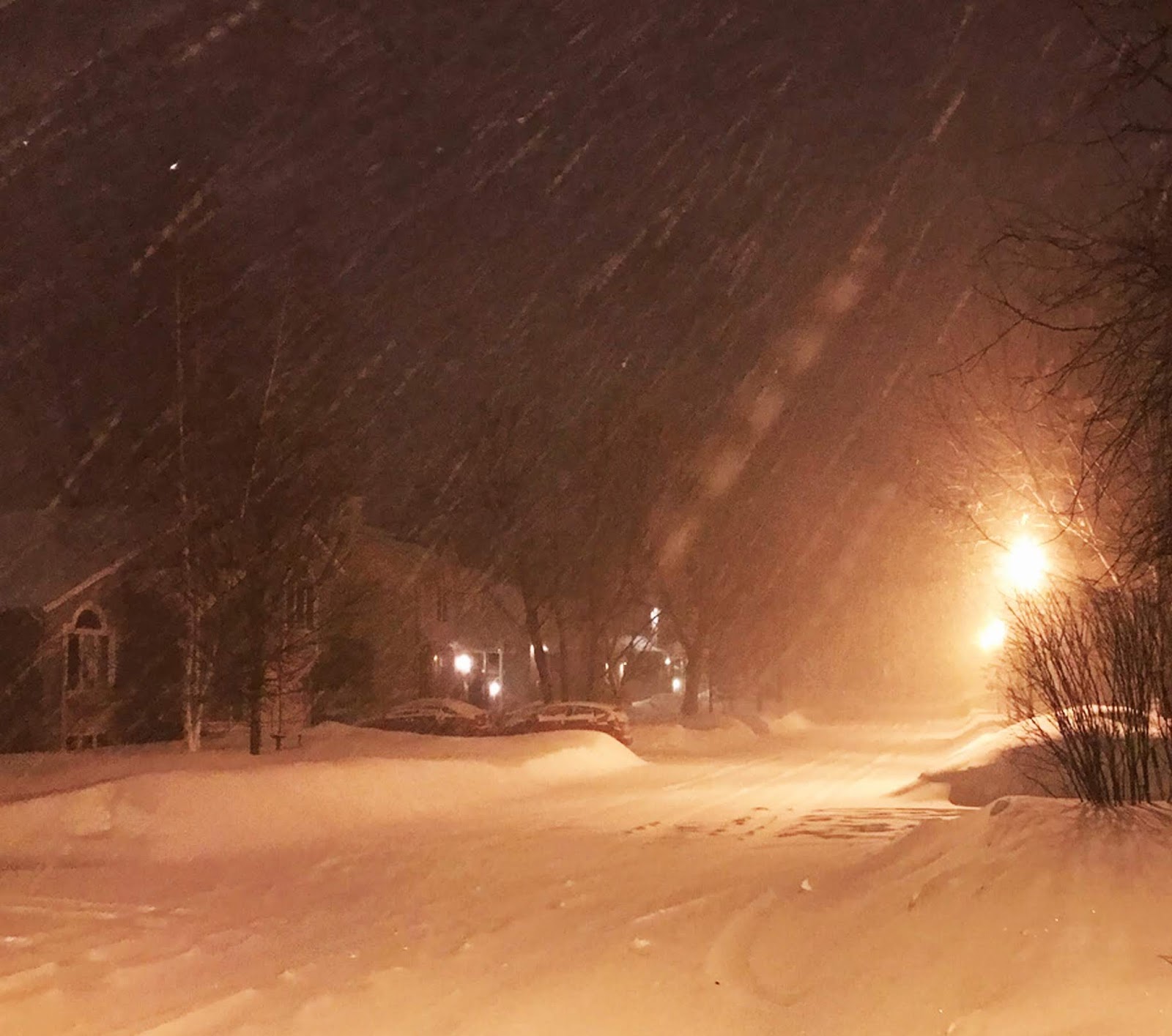 Valley Weather Record breaking snowfall for Montreal approaching 40cm
